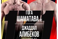 Видео боя Джаддал Алибеков – Гога Шаматава ACA 171