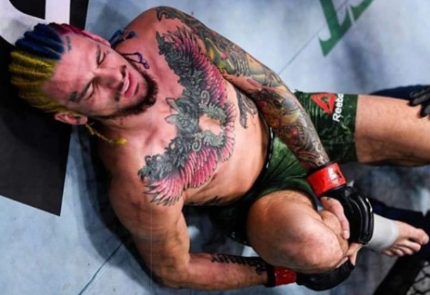Реакция в Твиттере на поражение Шона О`Мэлли в бою с Марлоном Верой на UFC 252