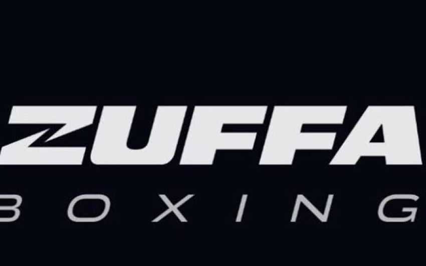 Zuffa Boxing: Почему у компании не получается захватить рынок?
