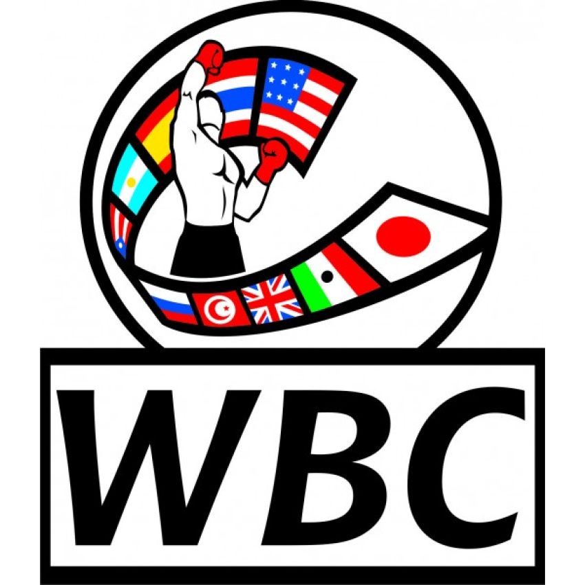 WBC: Боксеры обязаны вступить в анти-допинговую программу