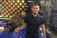 Тренер Хабиба Нурмагомедова: UFC, дайте любого бойца из первой десятки