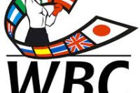 Обновленный рейтинг WBC: Поветкин, Шабранский, Хитров и Петров покинули топ-15 