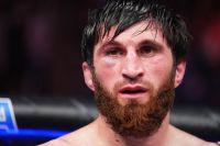 Магомед Анкалаев объяснил, почему отказался драться с Перейрой на UFC 300