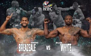 Постановление WBC: Диллиан Уайт и Доминик Бризил разыграют "временный" пояс