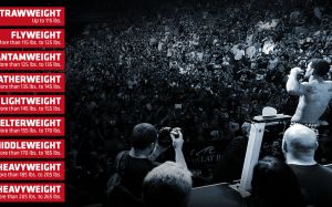 В UFC могут появиться новые дивизионы