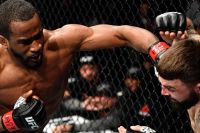 Джефф Нил досрочно остановил Майка Перри на UFC 245