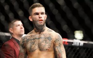Медицинские отстранения после UFC 227