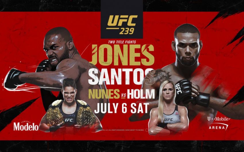 Прогноз на бой Джон Джонс - Тиаго Сантос на UFC 239