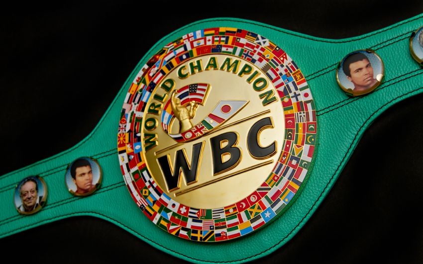 В WBC хотели бы увидеть бои Поветкина с Уайлдером и Фьюри в 2016 году