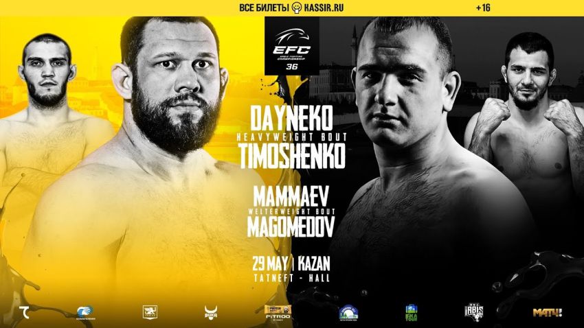 Прямая трансляция EFC 36