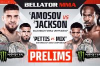 РП ММА №43 (BELLATOR 301): 18 ноября