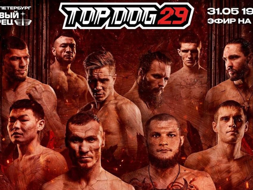 Прямая трансляция Top Dog 29