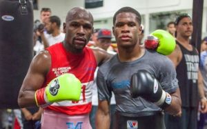 Пол Малиньяджи: "Хэйни нельзя сравнивать с Мейвезером"