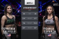 Видео боя Синтия Калвильо - Карла Эспарза UFC 219