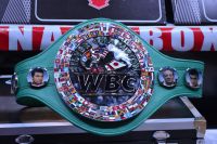 В бою Эррола Спенса и Майки Гарсии будет стоять на кону второстепенный пояс WBC
