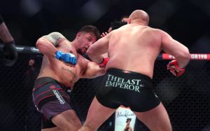 Реакция MMA-сообщества на победу Федора Емельяненко над Фрэнком Миром
