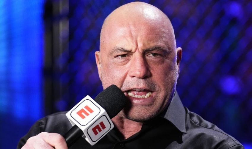 Джо Роган: "Бойцы, которые дерутся не в UFC, тратят карьеры впустую"