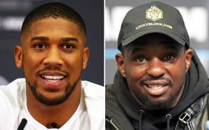 Промоутер Энтони Джошуа оценил возможность боя с Диллианом Уайтом
