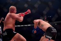 Bellator готовы организовать прощальный бой Фёдора Емельяненко в России