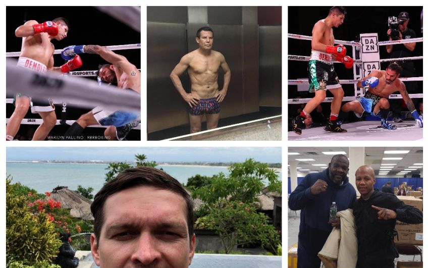 InstaBoxing 19 января 2019: Нынешняя форма Чавеса-старшего, Ковалев в зале, Хорхе Линарес сенсационно проигрывает