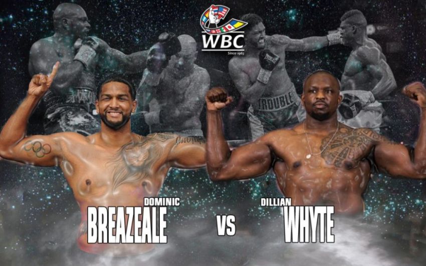 Постановление WBC: Диллиан Уайт и Доминик Бризил разыграют "временный" пояс