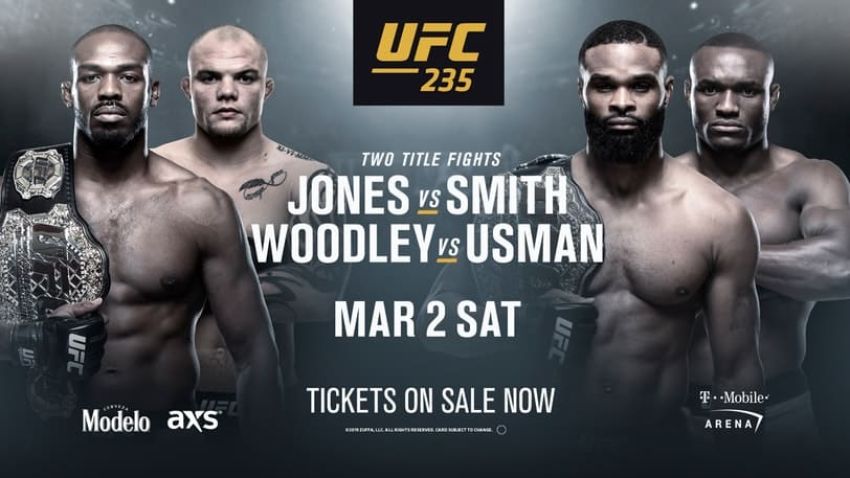 Результаты турнира UFC 235: Джон Джонс - Энтони Смит