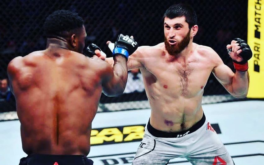 Али Исаев: "Я думаю, что Анкалаев – это будущий чемпион UFC"