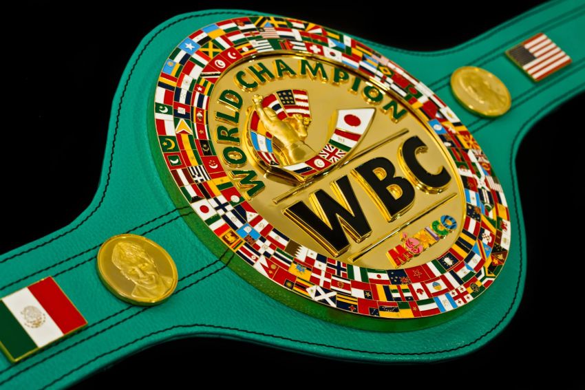 WBC запретил чемпионам и бойцам из топ-15 участвовать в Олимпиаде
