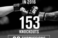 Итоги UFC 2016