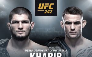 Бой Хабиба Нурмагомедова против Дастина Порье официально объявлен на UFC 242