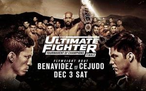 Прямая трансляция UFC The Ultimate Fighter 24 Finale Деметриус Джонсон - Тим Эллиотт, Джозеф Бенавидес - Генри Сехудо