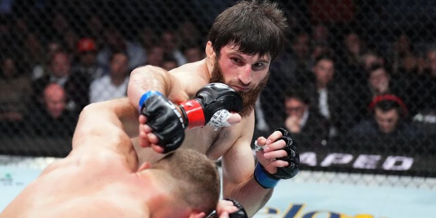 Штырков о результате боя Анкалаева с Блаховичем: "В UFC играют судьбами простых пацанов"