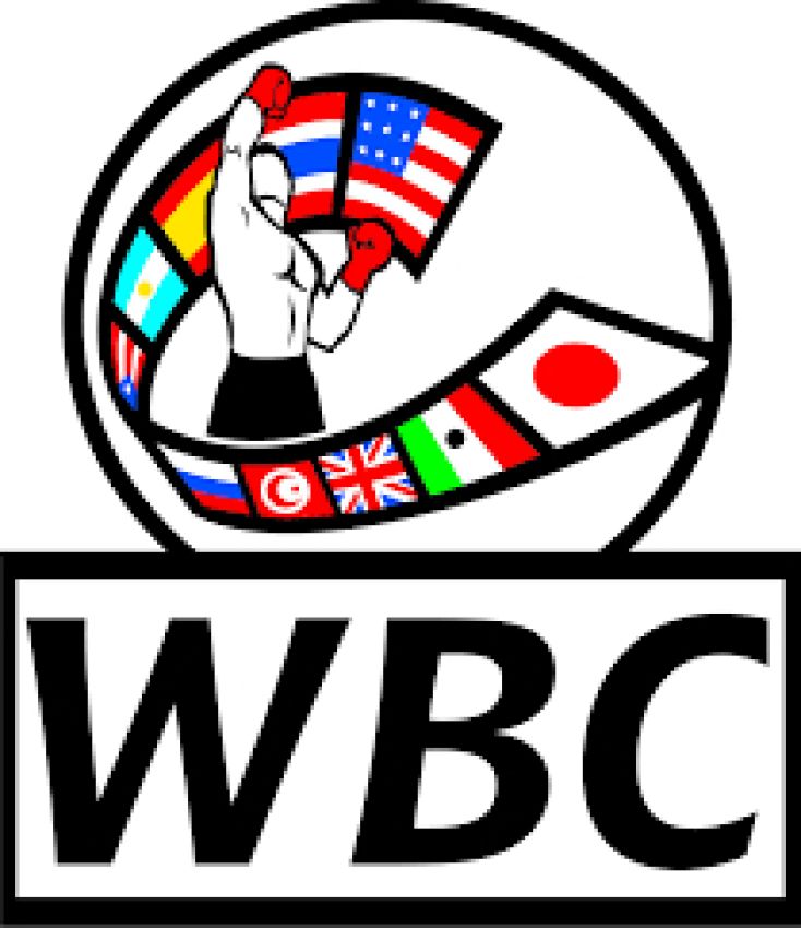 WBC до четверга должен урегулировать споры по торгам боя Гвоздик-Стивенсон