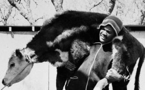 Джордж Форман: Физическое чудо природы