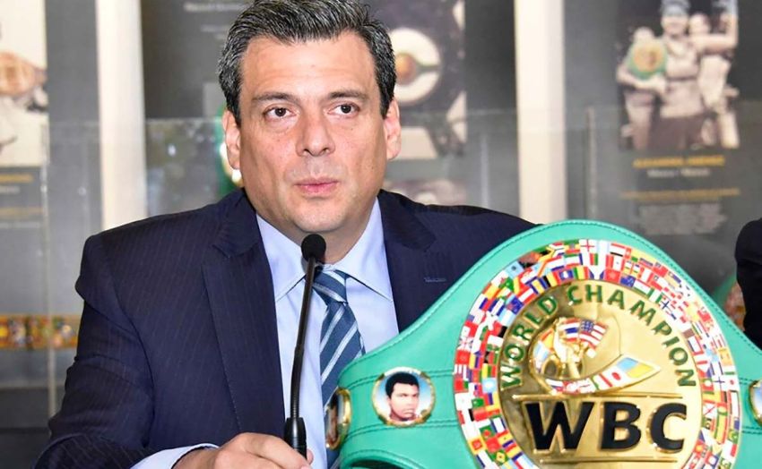 В WBC намекнули на организацию боя Фьюри с Диллианом Уайтом