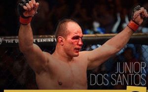 Рекорд UFC по количеству побед подряд в тяжелом весе принадлежит Джуниору Дос Сантосу