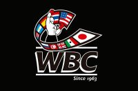 Диетологи WBC советуют отдать предпочтение водке и текиле на новогоднем застолье