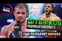 Иван Штырков ведёт переговоры с UFC