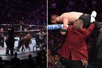 Массовая драка с участием Хабиба Нурмагомедова после победы на UFC 229