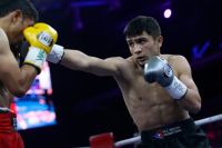 В WBC определят обязательного претендента для победителя боя Вальдес – Стивенсон