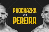 Результаты турнира UFC 295